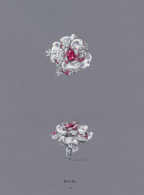 dior,joaillerie,jewelry,book,livre,rizzoli,victoire de castellane,michel heuze,christian dior,vendome,bijoux,haute couture