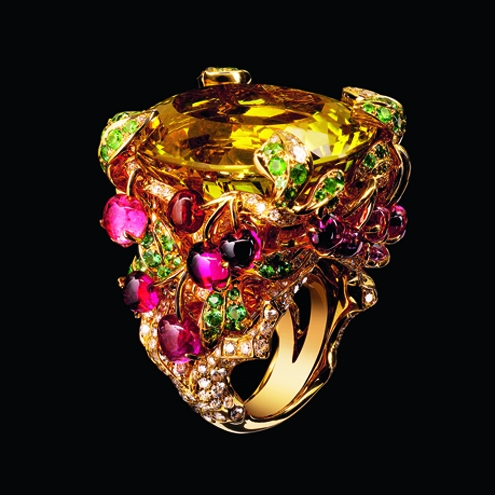 dior,joaillerie,jewelry,book,livre,rizzoli,victoire de castellane,michel heuze,christian dior,vendome,bijoux,haute couture