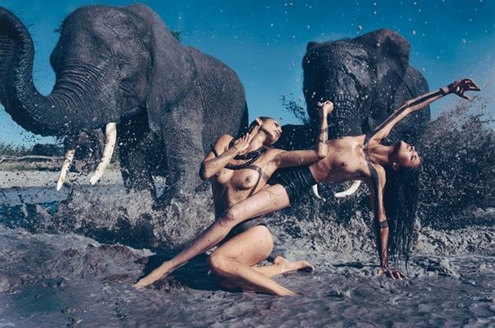 2009 Pirelli calendar - Peter Beard.jpg
