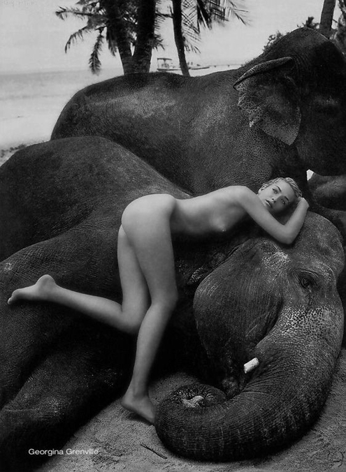 1998 Pirelli calendar - Bruce Weber.jpg