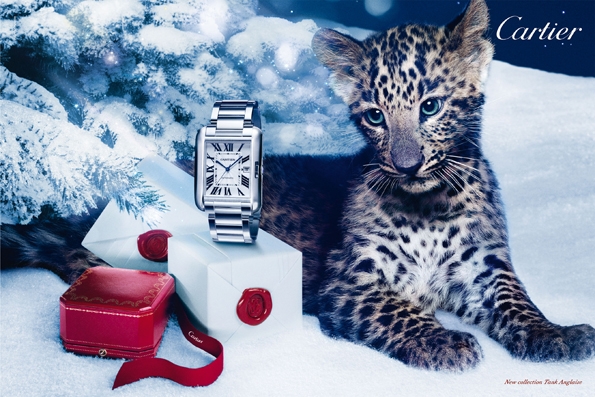 cartier,conte de noël,conte,noël,christmas,winter tale,winter,tale,stratégie,strategy,marketing,communication,360°c,cartier,louis cartier,jewellery,paris,event,évènement,new,collection,montre,montres,watch,watches,luxury,luxe,richemont,swiss,switzerland,france,horlogerie,horology,rectangle tank,must,américaine,française,divan,joaillerie,joaillière,joyaux,boreal landscape,snow,savoir faire,héritage,legacy