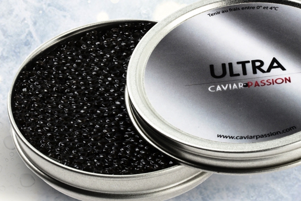 caviar passion,paul ferel,caviar,passion,esturgeon,acipenser baeri,schrenki,huso dauricus,shcrenki-dauricus,huso-huso,boutargue,poutargue,saumon,luxe,finlande,france,chine,iran,luxury,lifestyle,gastronomie,gastronomy,dégustation,vodka,champagne,coffret,concours,nouveau site,internet,noël,cadeaux,gifts,surprises